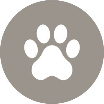 Play fetch with fido at the dog park
